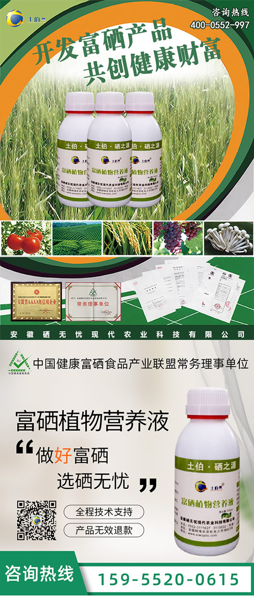 富硒肥,富硒水稻